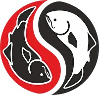 Партнёр